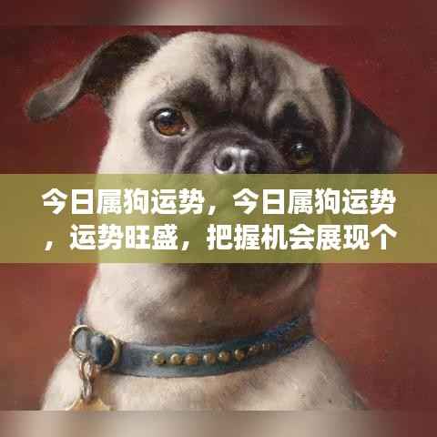 今日属狗运势旺盛,展现个人魅力绝佳时机!