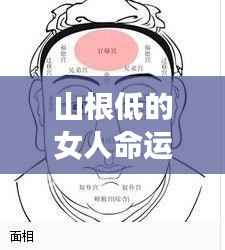 山根低的女人的命运，面相解读与人生轨迹探讨