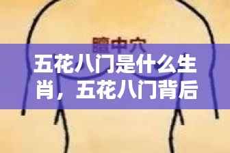 五花八门背后的生肖奥秘探索,究竟是哪个生肖如此多样?