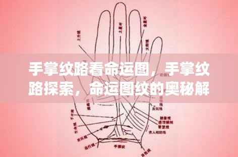 手掌纹路揭秘命运奥秘,探索命运图纹的奥秘解读