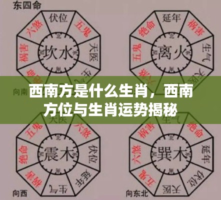 揭秘西南方位与生肖运势,西南方的生肖属性探究