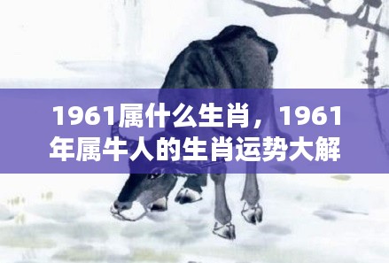 1961年属牛人的生肖运势全面解析