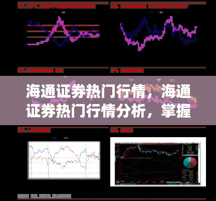 海通证券行情解析,洞悉市场趋势,引领未来投资之道