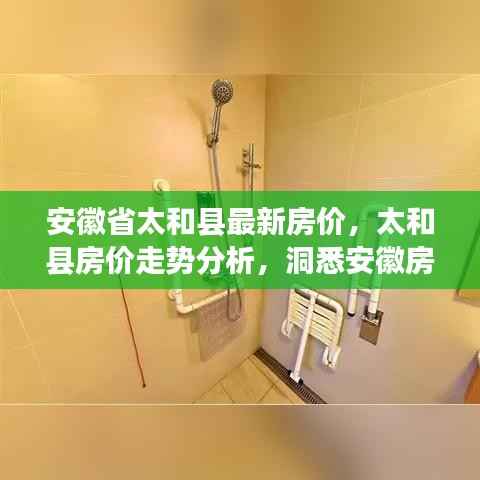 太和县最新房价动态与走势分析,洞悉安徽房价新动向