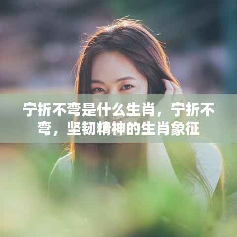 宁折不弯,坚韧精神的生肖象征解读揭秘