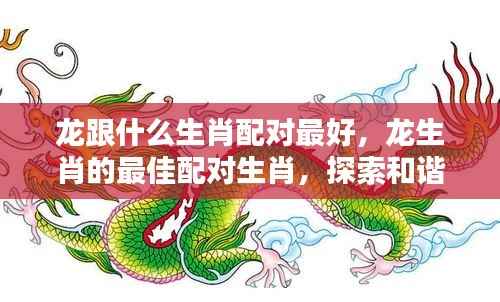 龙生肖的最佳配对生肖,探索和谐共生的奥秘