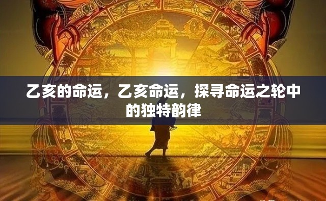 乙亥命运揭秘,探寻命运之轮中的独特韵律