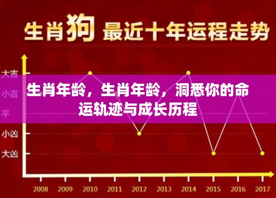 生肖年龄洞悉命运轨迹与成长历程揭秘