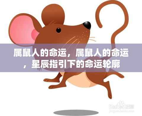 属鼠人的命运,星辰指引下的命运轮廓探索