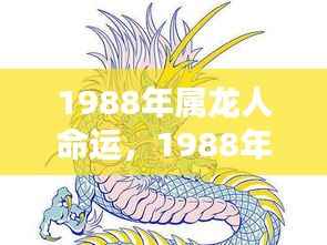 星辰指引下的辉煌人生,揭秘1988年属龙人的命运之路