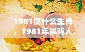 揭秘命运之轮,1981年属鸡人的生肖运势与机遇挑战洞察