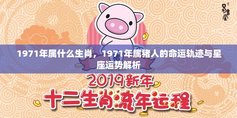 就地取材 第5页