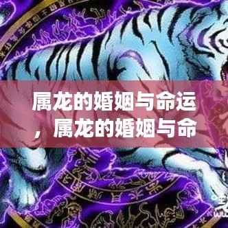 属龙婚姻与命运,星象指引下的情感人生旅程