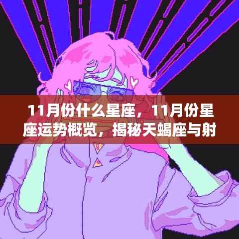揭秘十一月星座运势,天蝎座与射手座的闪耀概览