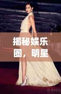 揭秘娱乐圈,明星们的神秘鞋码!