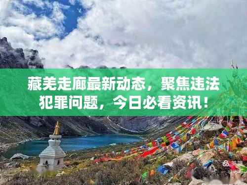 藏羌走廊最新动态,聚焦违法犯罪问题,今日必看资讯!