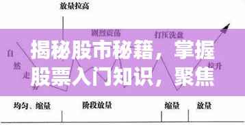 揭秘股市秘籍,掌握股票入门知识,聚焦代码为002537的股票