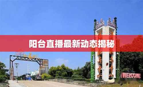 阳台直播最新动态揭秘