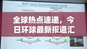 全球热点速递,今日环球最新报道汇总