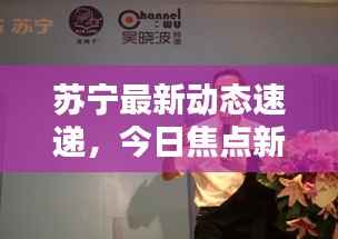 苏宁最新动态速递,今日焦点新闻摘要