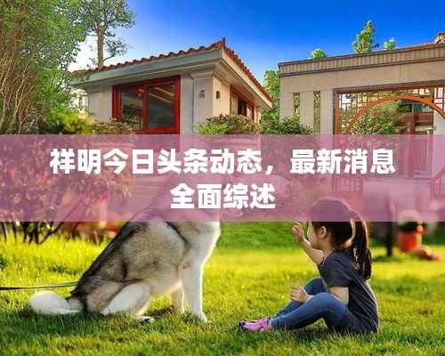 祥明今日头条动态,最新消息全面综述