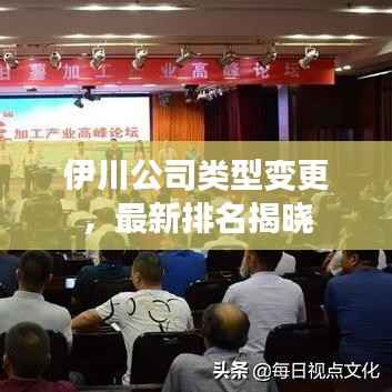 伊川公司类型变更,最新排名揭晓