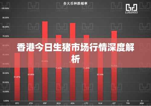 香港今日生猪市场行情深度解析