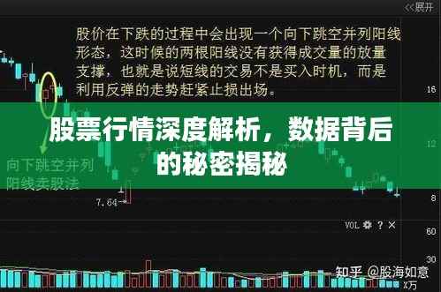 股票行情深度解析,数据背后的秘密揭秘
