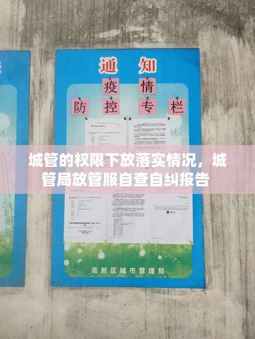 城管的权限下放落实情况,城管局放管服自查自纠报告