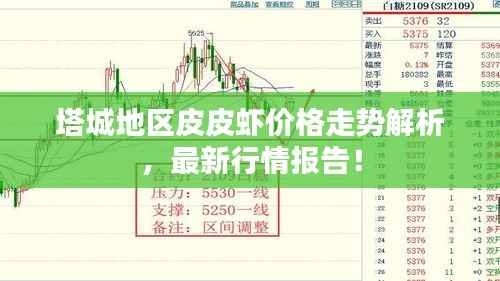 塔城地区皮皮虾价格走势解析,最新行情报告!