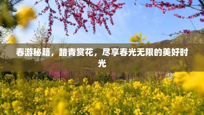 春游秘籍,踏青赏花,尽享春光无限的美好时光