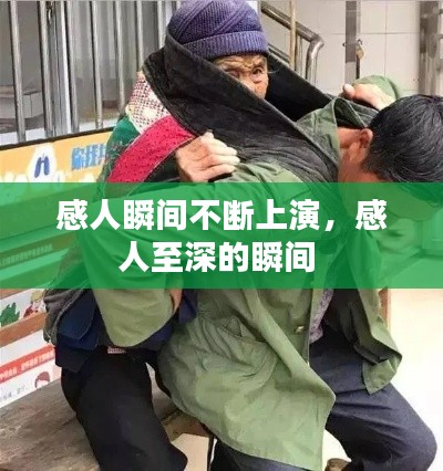 感人瞬间不断上演,感人至深的瞬间