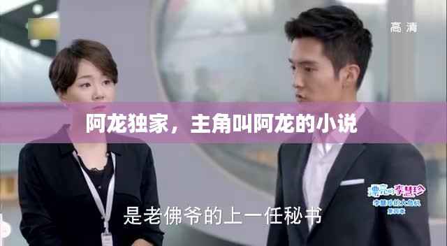 阿龙独家,主角叫阿龙的小说