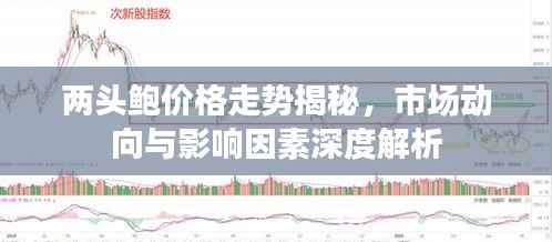 两头鲍价格走势揭秘,市场动向与影响因素深度解析