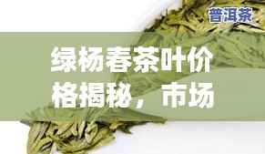 绿杨春茶叶价格揭秘，市场定位与优质茶叶的吸引力